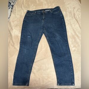 Laney Bryant high rise skinny jeans